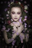 "The Four Seasons" - Spring